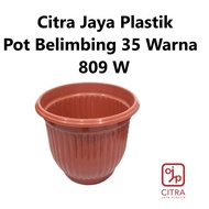 Citra Jaya Starfruit Pot 35 cm Color 809W