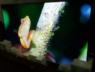 Samsung 85inch 85吋 QM85D UHD SMART Signage with Superior Picture Quality for Reliable 16/7 Operation