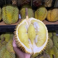 Duren Montong / Durian Monthong Palu Fresh Buah utuh 3kg-4.5kg