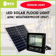 60W LED Solar Flood Light
