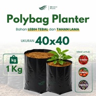 Plastic Polybag Plant 40x40 1 Kg Thick Polybag Chili Tomato Eggplant