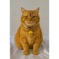 Cat Collar with Bell Cat Neck Accessories/ Cat Bell Collar/ Cute Cat Necklace/