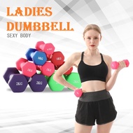 《STOCK IN MALAYSIA》2.5KG Ladies Dumbell Dumbbell Dumbell Set Dumble Angkat Berat Dumbel Dumb Bell Du