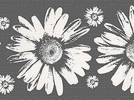 Dundee Deco DDAZBD9159 Peel and Stick Wallpaper Border - Floral Grey White Sunflowers Wall Border Re