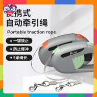 New Product Pet Dog Leash Retractable Large Medium Small Dog Outing Dog Walking Leash Dog Chain Pet 