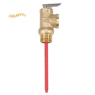 WYA-20 99C 102PSI 210F WYA-20 0.7Mpa to Valve  3/4 Inch Temperature and Pressure Relief Valve As  Sa