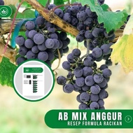 ready Resep AB Mix Anggur Formula Racikan Nutrisi AB Mix Buah Anggur