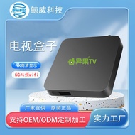 Exotic Fruit TV TV Live Streaming Box Smart Home Wireless wifi TV Set-Top Box