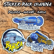 Stiker pack ikan channa 3pcs (pulchra, barca, auranti)