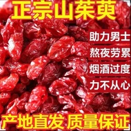 山茱萸 Cornus Officinalis野生山萸肉茱萸肉 肉枣 枣皮 泡酒料山茱萸 Wild Cornus Officinalis