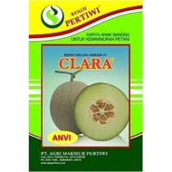 BENIH BIBIT MELON CLARA PERTIWI 13 Gr