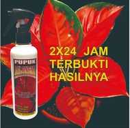 pupuk cair TANAMAN HIAS AGLONEMA penambah hormon 250ml + botol organik