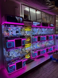 夾公仔機可散買，低至$250@部 迷你機/單體機/唱銀機/標準機連js爪等