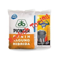 Benih Jagung Hibrida Prioner  P27 Gajah Extra Kemasan 1kg / Bibit Jagung Hibrida P27 Gajah