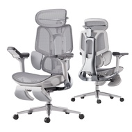 Hbada E3 Pro Ergonomic Office Chair with Dynamic Lumbar Support Adjustable Headrest & Adjustable Arm