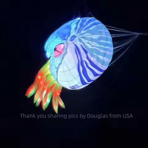 DDDZ LED SNAIL Nautilus show kite 3M Ripstop Nylon Line Laundry Pendant Large soft Inflatable night 