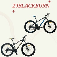 29 INCH BLACKBURN BICYCLE IN VARIOUS COLOR