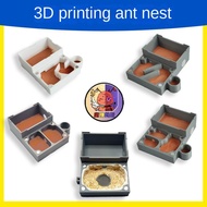 3D Nest Flat Nest Cheap Asian Ant Nest Ant Workshop Ant Castle Ant Pet Demon God Ant Student Edition