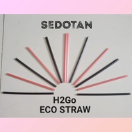 H2GO ECO STRAW
