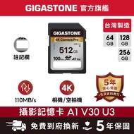 [GIGASTONE] 4K Photography Memory Card SD A1 V30 512G/256G/128G/64GB | Made in Taiwan/Monocular Came