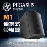 帕格索斯M1音箱充電戶外便攜賣唱音響薩克斯音箱(PEGASUS)吉他