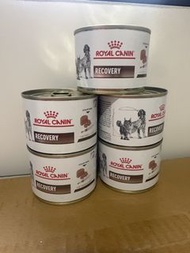 Royal Canin Recovery 猫罐頭