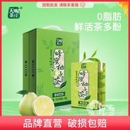 天喔蜂蜜柚子茶/红柚/白茶/乌龙整箱饮料夏季水饮批发 经典蜂蜜柚子茶250ml*16
