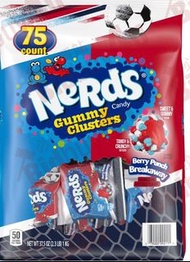 *預購*Nerds Summer Gummy Cluster Treat Size Chewy Candy 夏季限定 外脆內軟糖分享包 75 ct