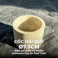 Anemone Cup Ø7.5cm Natural Sea Stone – Anemone Cup Supports Reef Penishment