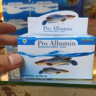 pro albumin ikan gabus original kapsul