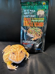 Sudo frog staple food 角蛙 霸皇角蛙 鐘角蛙 蝴蝶蛙 祕魯角蛙 爬蟲 日本蛙糧 粉糧 150g