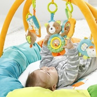 FEHN 3-D ACTIVITY GYM NEST