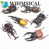 WHIMSICAL Simulation Beetle Science Toy Trick Props Insect Toy Simulation Animals Fake Beetle Beetle