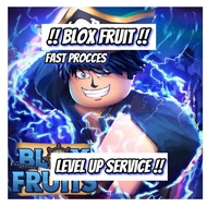 BLOX FRUIT LEVEL UP SERVICE