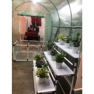 TRANSPARENT UV GREEN HOUSE