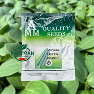 AM 7000 LUFFA COCO F1 AMM QUALITY SEEDS 100gram +-600 biji/ BENIH PETOLA/BENIH TENE