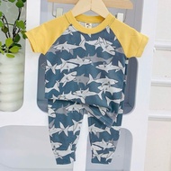 Printed Boy Terno Shirt & Jogger Pants "F" (1-5 y/o)