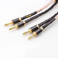 Hifi Bi Wiring Speaker Cable Hi-end 12TC 24 strand 7N OCC Speaker Wire With Carbon Fiber 2 to 2/4 Ba