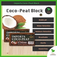 IMPORTS Coco Peat Block｜发酵低盐椰砖｜Blooms｜Succulent｜Fiber｜Fertilizer | Water Retention | Nutrient Soil