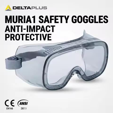 DELTA MURIA1 Safety Goggles Over Glasses Engineering Ppe For Home And Workshop Gafas De Seguridad In