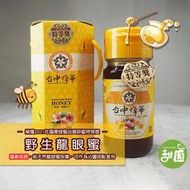 龍眼蜜 蜂蜜 野蜜 700g 台中蜂華國產龍眼蜜評鑑比賽-特等獎 2021年採收 產銷履歷蜂蜜 【甜園】