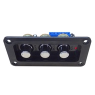 Digital Power Amplifier Audio Board 2X20W Class D Stereo Sound