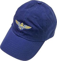 美國 US 海軍飛行員 徽章 小帽 藍色 L/XL TOP GUN TOPGUN 捍衛戰士