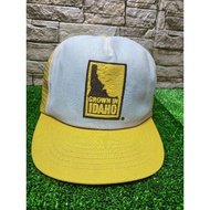 VINTAGE Cap Hat GROWN IN IDAHO PRINT FOAM USA