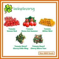 Cherry Tomato (Season Red, Roma Hot Summer, Glitter Mini, Dwarf Cherry, Little Bing, Micro Tom, Suga