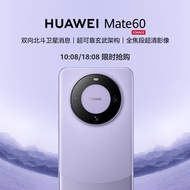 华为（HUAWEI）旗舰手机Mate 60  12GB+512GB 南糯紫