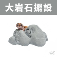 [Reptile Special Attack Team] 24 Hours Reptile Rock Decoration|Reptile Landscaping|Gecko Landscaping