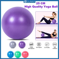 SunnyFit 25CM Yoga Ball Pilates Balance Core Ball Exercise equipment Training Anti-burst Gym Sport