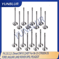 16pcs Engine Intake & Exhaust Valve Kit Fit 2.0 2.2 L Diesel DW10 224DT For 06-25 CITROEN DS FORD JA