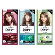 Kao LIESE Foam Hair Dye Qualified Bubble Listed [Small San Meiri] D195010